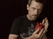 Dr. House (Hugh Laurie)