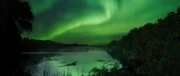 Vor rund 56 Millionen Jahren ist das Klima auf der Erde so warm, dass sich tropische Regenwälder bis weit in Richtung der Pole erstrecken.