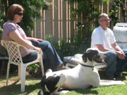 Heath (r.) und Hailie (l.) Moore hat große Probleme mit ihrer 65 Kilo schweren Deutschen Dogge Bacchus. Kann der Hundeflüsterer Cesar Millan helfen?