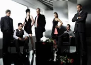 (6. Staffel) - Untersuchen Verbrechen, die auf irgendeine Weise mit der US-Navy oder dem Marine Korps zu tun haben: Vance (Rocky Carroll, r.), McGee (Sean Murray, 2.v.r.), Ducky (David McCallum, l.), DiNozzo (Michael Weatherly, 2.v.l.), Abby (Pauley Perrette, 3.v.l.), Gibbs (Mark Harmon, M.) und Ziva (Cote de Pablo, 3.v.r.) ...