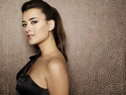 (7. Staffel) - Durch ihre besondere Begabung für die Spionage wird die hübsche Ziva David (Cote de Pablo) zur Fachfrau fürs Grobe ...