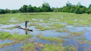 Hazen paddelt mit seinem Kanu durch die Sümpfe (National Geographic)