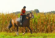 Anna fühlt sich auf dem Rücken ihres Pferdes in der Natur frei und glücklich.