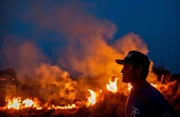Farmland im brasilianischen Amazonasgebiet brennt. Oft werden die Feuer von Bauern gelegt, um Acker- oder Weideflächen zu erhalten.
