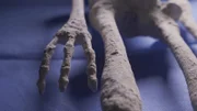 Statt Fingernägel haben die mumifizierten Wesen Klauen an Händen und Füßen.
