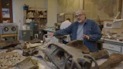 Der Paläontologe Dr. Pascal Godefroit am Königlich Belgischen Institut für Naturwissenschaften leitet die wissenschaftliche Untersuchung von Fossilien aus einer aktuellen Ausgrabung in Wyoming.