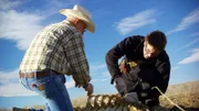 Colorado USA: Ben McGee und Tom Miller bei der Untersuchung von Knochen.