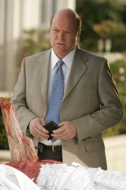 Detective Tripp (Rex Linn)