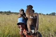 Pia spielt mit den Pavianen einer Wildtierstation in Namibia. Auch die ernähren sich hier vom Zaubergras der Savanne.