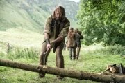 Rory McCann as Sandor Clegance (The Hound)