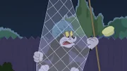 Butch Cat