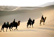 PHOENIX DIE MAGIE DER MONGOLEI, am Mittwoch (01.08.12) um 22:15 Uhr. Die Wüste Gobi - der Sand unter den Hufen der Kamele stammt aus längst versiegten Flüssen und Seen.