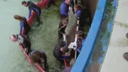 Shark relocating process.