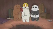 v.li.: Grizzly Bear, Ice Bear, Panda Bear