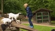 Ziegen können sehr gut klettern und noch besser balancieren. In der „Ich kenne ein Tier“-Reportage schauen wir, ob wir da mithalten können.
