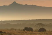 Wichtiger Lebensraum für Nashörner - die Hochebenen am Fuße des Mount Kenias.