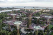 Als nächstes verschlägt es Corentin und seine Gefährten nach Singapur. Dort gibt es die atemberaubende Parkanlage Gardens by the Bay.