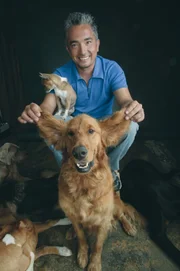 Für Cesar Millan geht es nicht nur darum, Hunde auszubilden - es ist vielmehr ein Training für Hundebesitzer ...