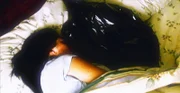 Die Frau eines Air-Force-Officers wird tot in ihrem Bett gefunden - mit einem Wäschesack aus Plastik nah an ihrem Gesicht. War es ein Unfall oder Mord?