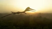Flugsaurier sind als Fossilien für Tanis belegt.