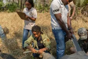 Wissenschaftlerin Dominique Gonçalves und ihr Team untersuchen einen Afrikanischen Elefanten im Sambesi-Delta, Mosambik.