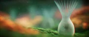 Vor rund 800 Millionen Jahren verändert sich der Lebensraum der Eukaryoten, der Vorfahren aller heutiger Pflanzen und Tiere. Ihre Anzahl und Vielfalt steigen.