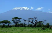 Kilimanjaro