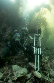 Kameramann Roger Harrocks nutzt ein Unterwasser-Stativ im Tangwald, um verwackelte Bilder zu vermeiden.
