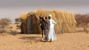 Mann des Kanuristammes mit seinem wertvollsten Besitz, seinem Pferd. Indil, Sahel, Niger.
