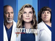 (18. Staffel) - Grey's Anatomy - Die jungen Ärzte - Artwork