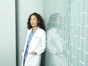 (7. Staffel) - Der berufliche, wie auch der private Stress nimmt nicht ab: Dr. Cristina Yang (Sandra Oh) ...