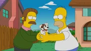 Ein neuer Hund für die Simpsons? Neds (l.) kleines Haustiert scheint sich viel mehr von Homer (r.) angezogen zu fühlen.