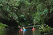 Wissenschaftler sind mit dem Kajak unterwegs zum Oparara Basin, um Spuren des ausgestorbenen Riesen-Moas zu finden.