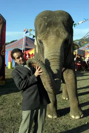 Monk "Mr. Monk geht in den Zirkus". Im Bild: Tony Shaloub, Dede der Elefant.