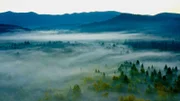 Nebel über den Wäldern von Slowenien.