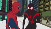 L-R: Spider-Man / Peter Parker (voiced by Robbie Daymond) and Miles Morales (voiced by Nadji Jeter)