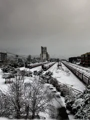 Long lines of snow covered train cars wait to be moved following a surprise snow storm. A lone walker follows the trail through Myrtle Edwards Park in Seattle.