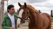 Der arabische Prinz Ahmed (Jade HassounÈ) hat Schwierigkeiten mit seinem Pferd Emir.