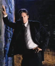 (5. Staffel) - Die X-Akten: Hier werden Fälle gesammelt, in denen ungewöhnliche Phänomene eine Rolle spielen, die nicht erklärt werden können. FBI-Agent Fox Mulder (David Duchovny) untersucht derartige Fälle.