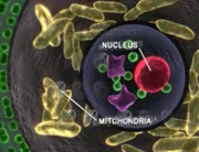 Der Mitochondrial-DNA-Test überführt den Mörder der sechsjährigen Michelle Door.
