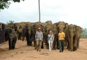 Keine Angst vor großen Tieren: Markus (Christian Kohlund, li), Leon (Bernhard Bettermann, re.) und Nadja  (Saskia Valencia) auf einem Spaziergang durch die Natur Sri Lankas.