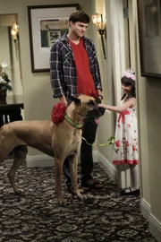 Ava (Talyan Wright, r.), Zoeys kleine Tochter, lädt Walden (Ashton Kutcher, l.)  zu ihrem Kindergeburtstag ein. Da er kein passendes Geschenk für sie weiß, entscheidet er sich für eine Dogge. Doch was wird Zoey dazu sagen?