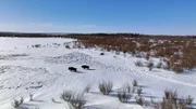 Chevie Roach und Roger Hamilton Jr. entdecken ein paar reisende Bisons. (National Geographic)