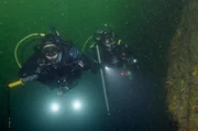 Das Wasser im Milford Sound, Fjordland, Neuseeland ist so dunkel, dass die Taucher auf Tiefseearten treffen