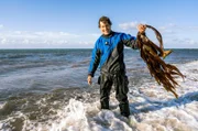 Uli Kunz hat ein Stück Kelp mit an die Oberfläche gebracht: Die großen Braunalgen lieben kühles Wasser – wenn die Temperaturen steigen, gehen die Bestände zurück.