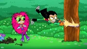 v.li.: Starfire, Robin