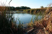 Lagune an der Mündung des Rouge River im Rouge National Urban Park