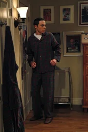 Nachdem bei Sheldon und Leonard eingebrochen worden ist, fühlt sich Sheldon (Jim Parsons) nicht mehr sicher ...