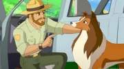 Ranger Graham schickt Hündin Lassie gemeinsam mit den Kindern los, um Mrs. Lee das Gegengift zu bringen.