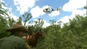 Laredo, TX: Two Customs and Border Protection agents patrolling on horseback and working with agents in a helicopter above.